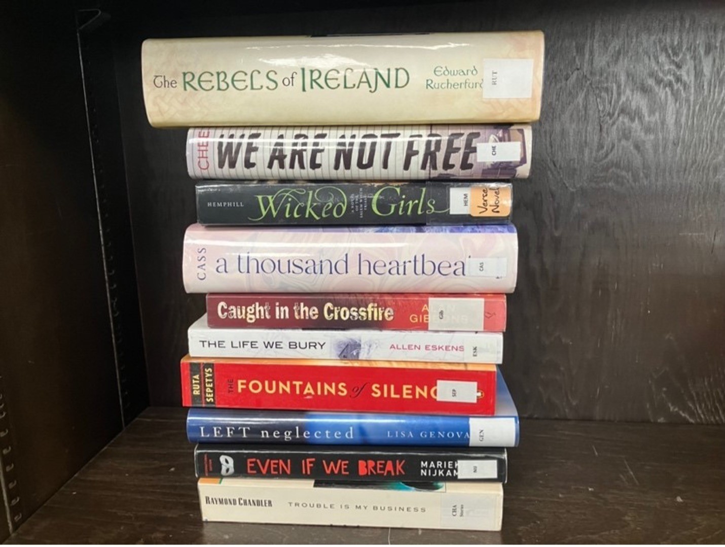 BookSpinePoetry