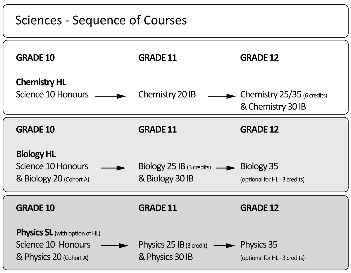 IB Science flowchart